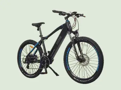 Full-size delivery e-bike