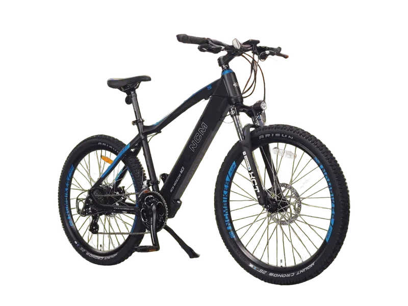 A full-size 26 inch delivery e-bike