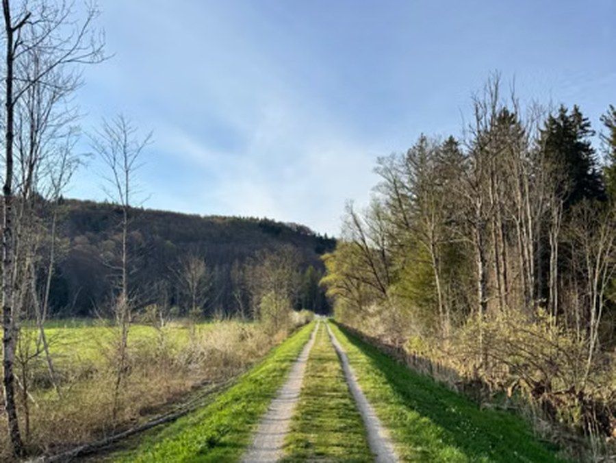 Unbefestigter Weg durch ein ländliches Tal, gesäumt von Bäumen
